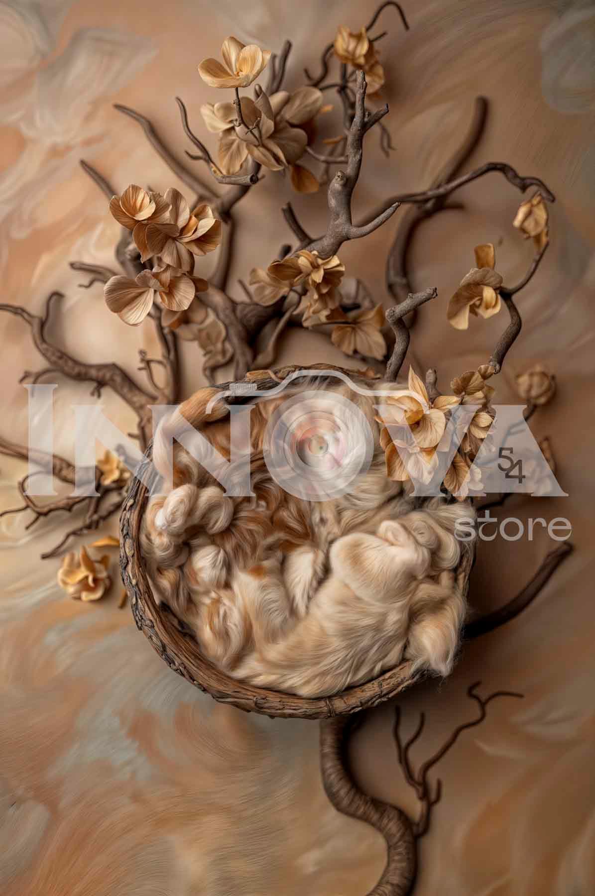 Newborn